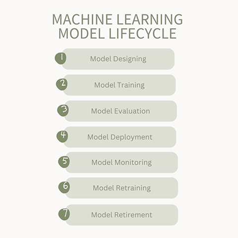 machine learning model lifecycle