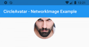 6 Flutter Circle Avatar Widget Examples With Tutorial - AndroidRide
